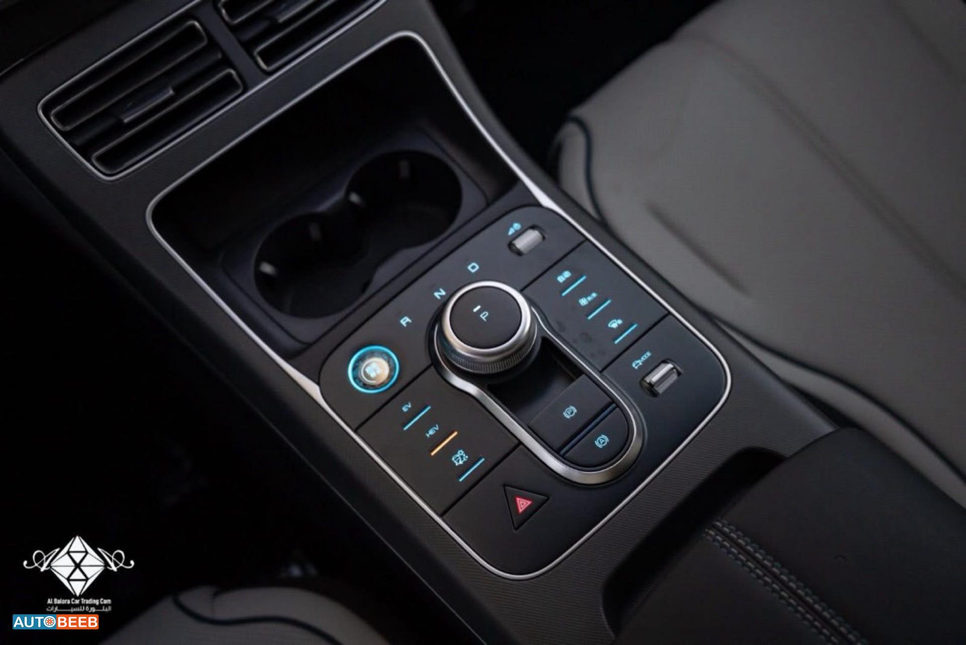 بي واي دي ديستروير 2025