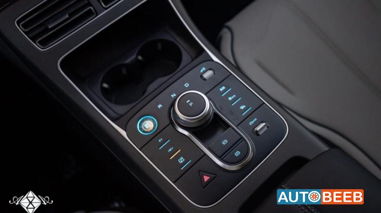 بي واي دي ديستروير 2025