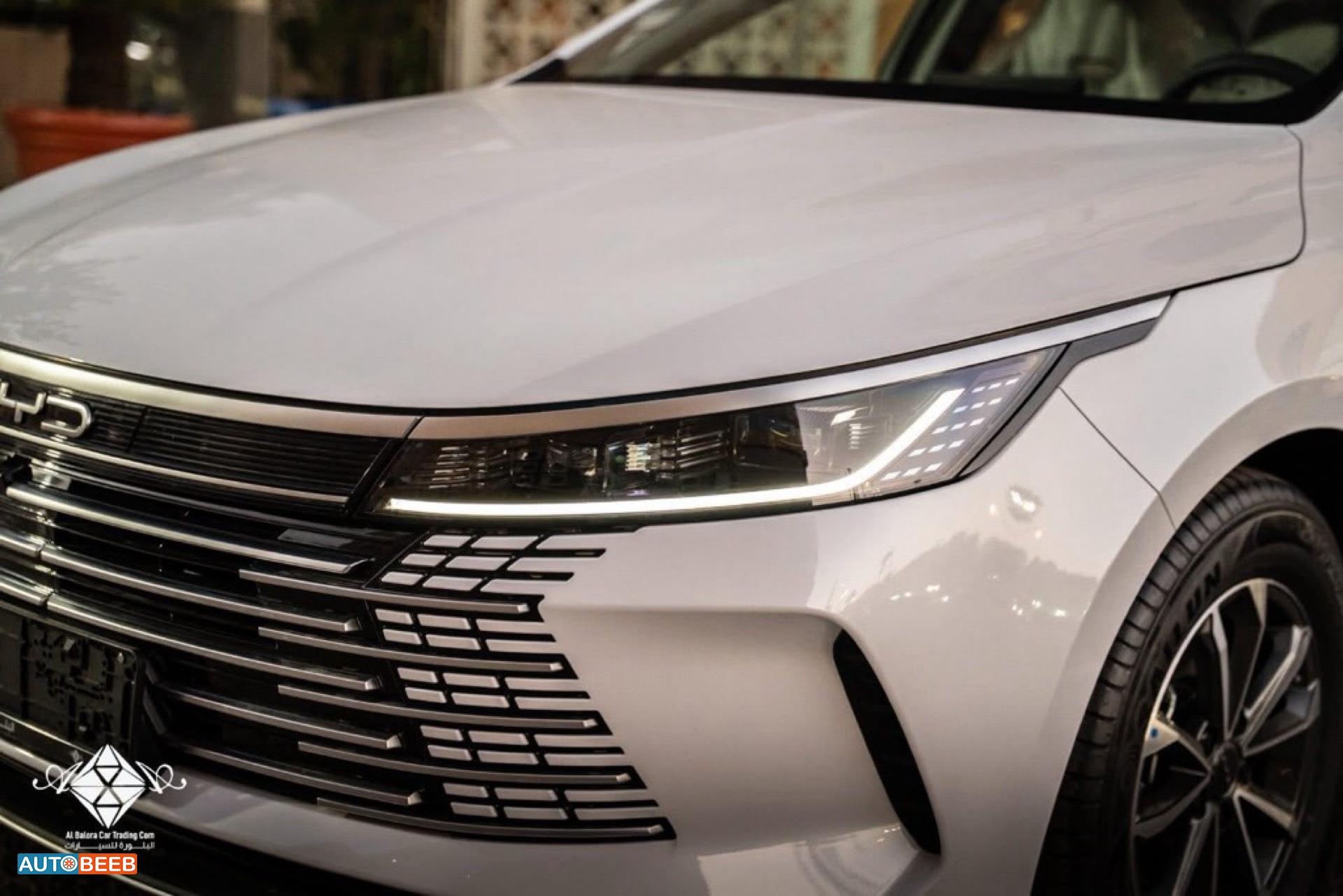 بي واي دي ديستروير 2025