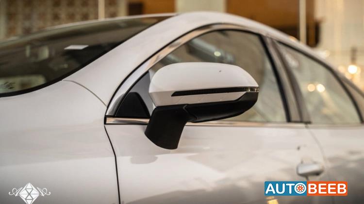 بي واي دي ديستروير 2025