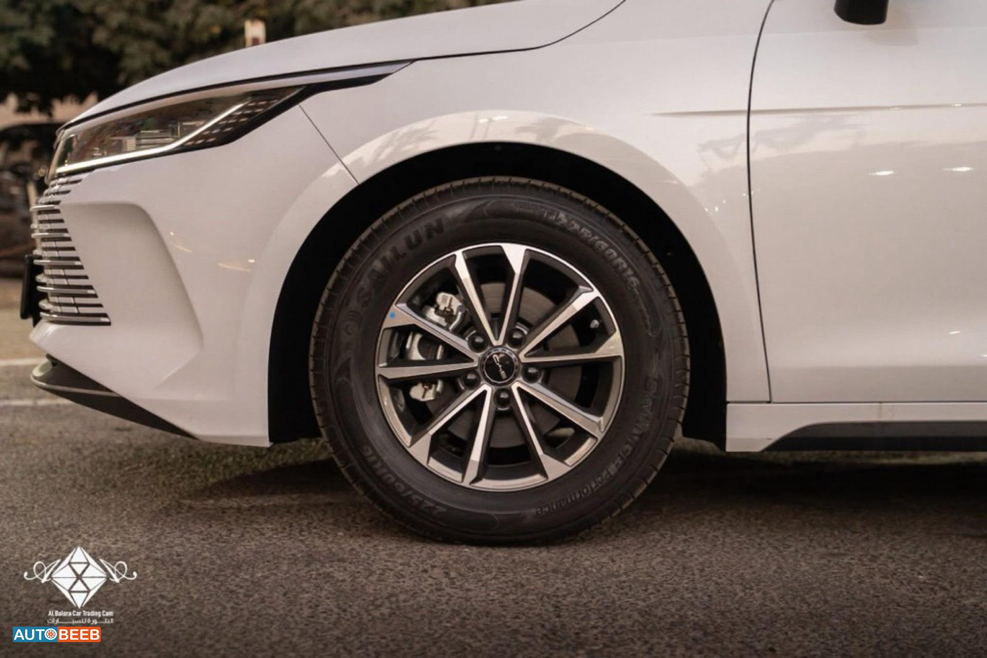 بي واي دي ديستروير 2025