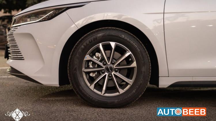 بي واي دي ديستروير 2025