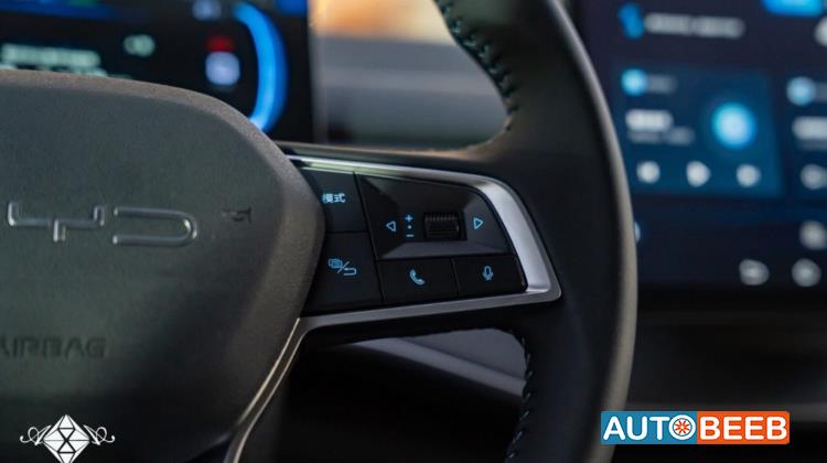 بي واي دي ديستروير 2025