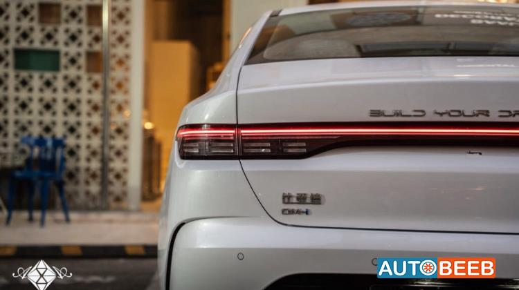 بي واي دي ديستروير 2025