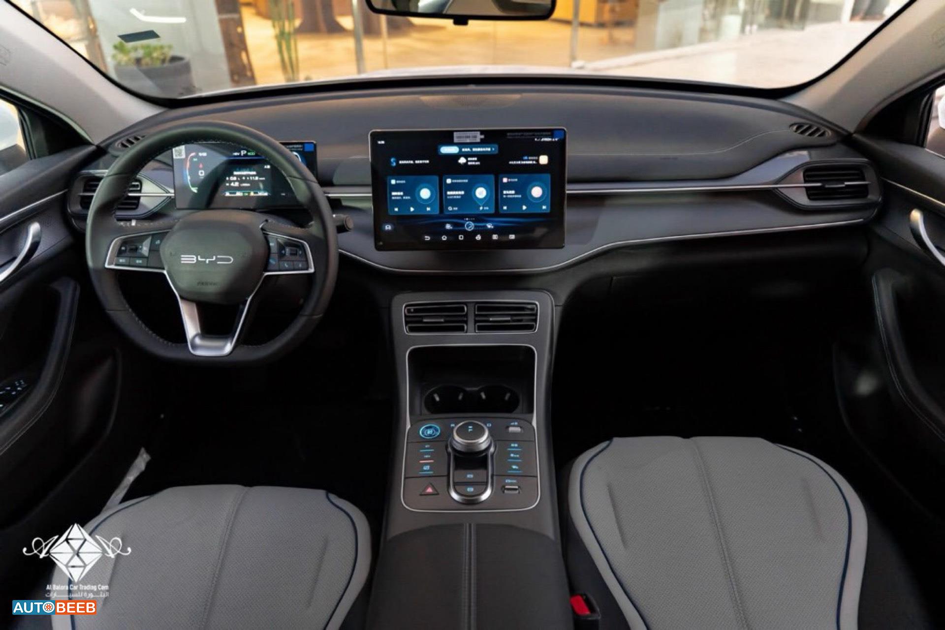 بي واي دي ديستروير 2025