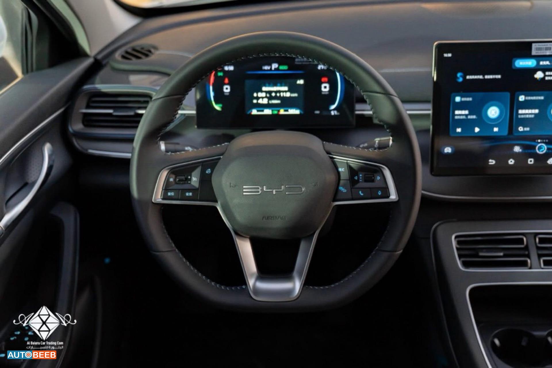 بي واي دي ديستروير 2025