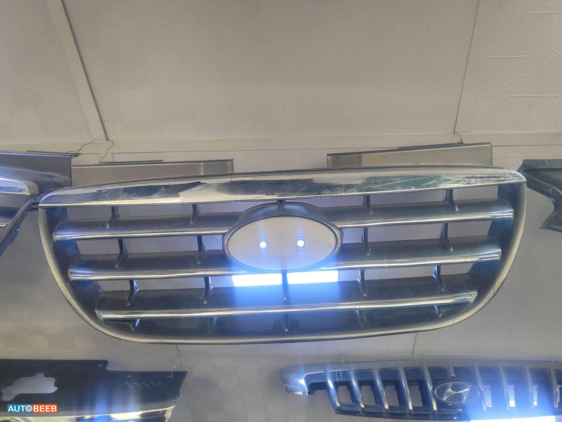 Body  Grilles Hyundai Elantra