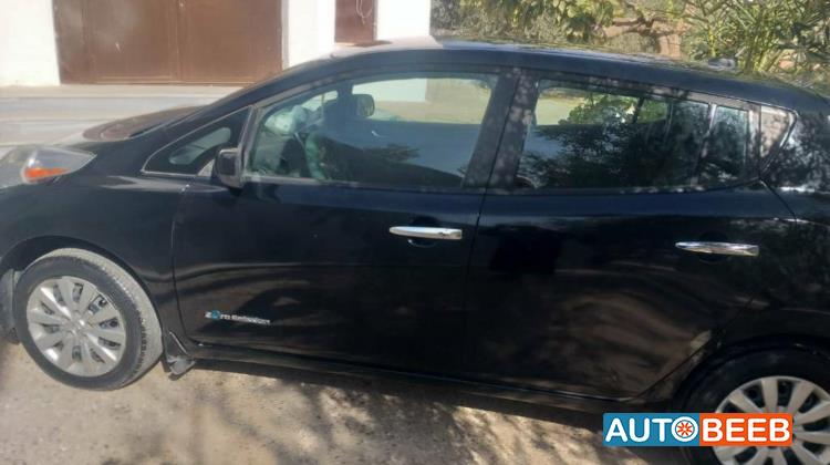 نيسان ليف 2013