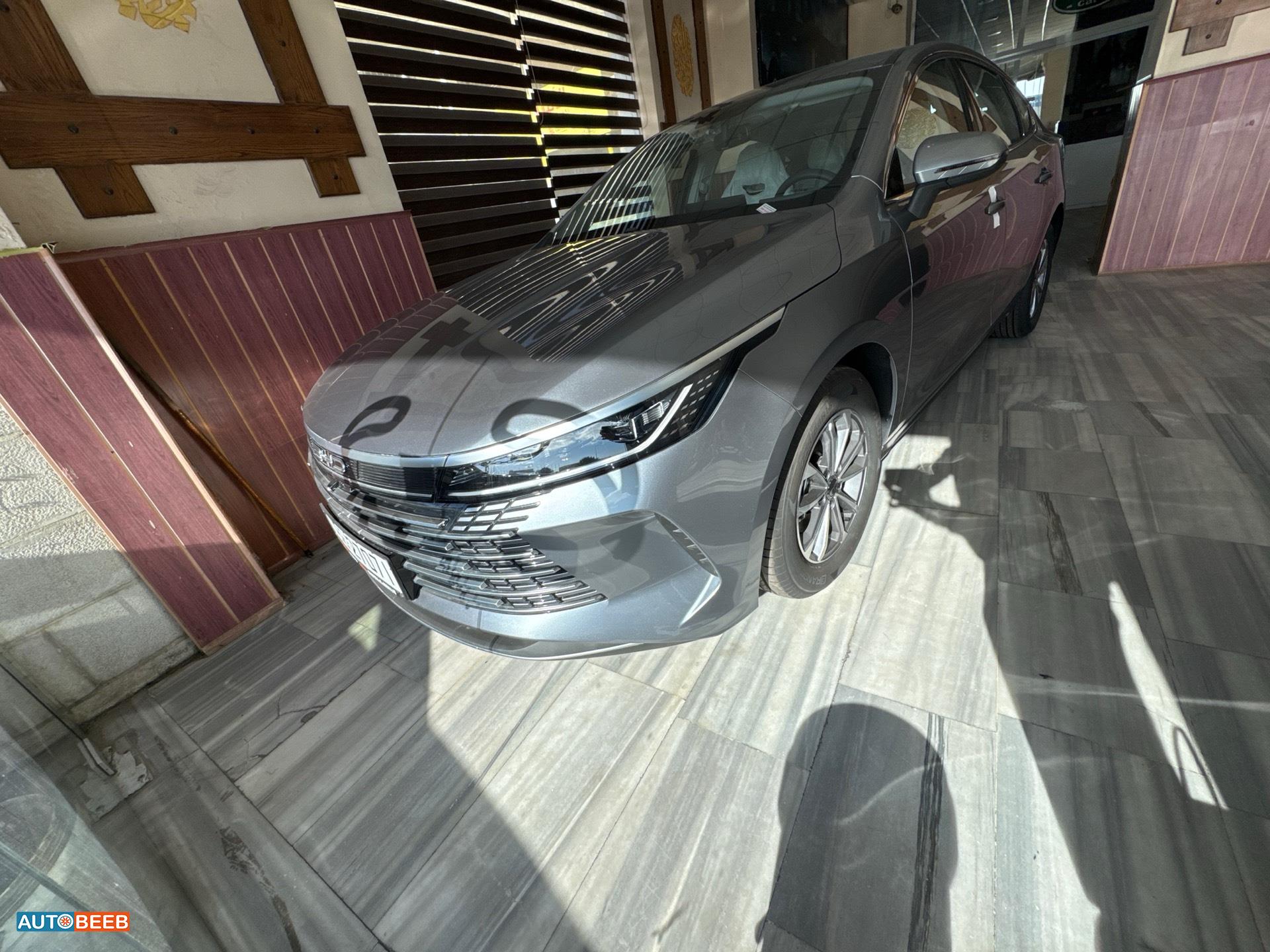 بي واي دي كين 2025