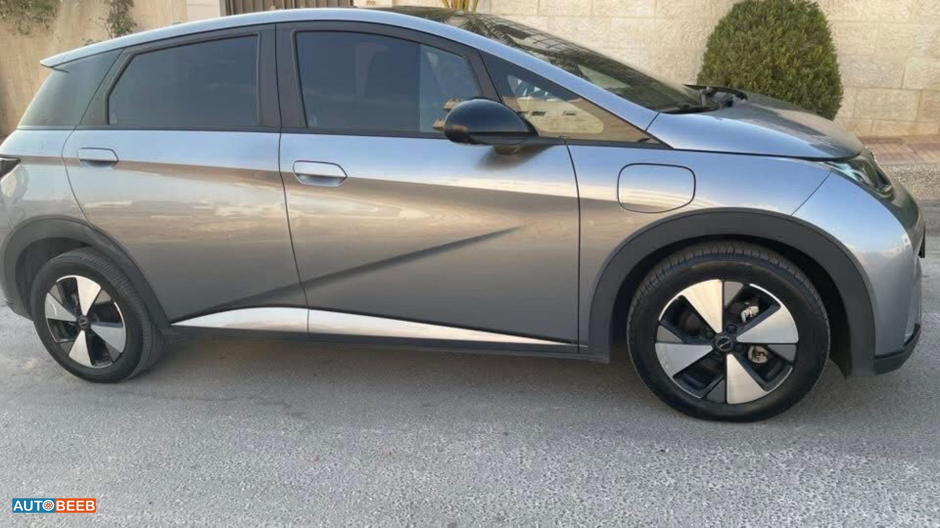 بي واي دي دولفين 2023