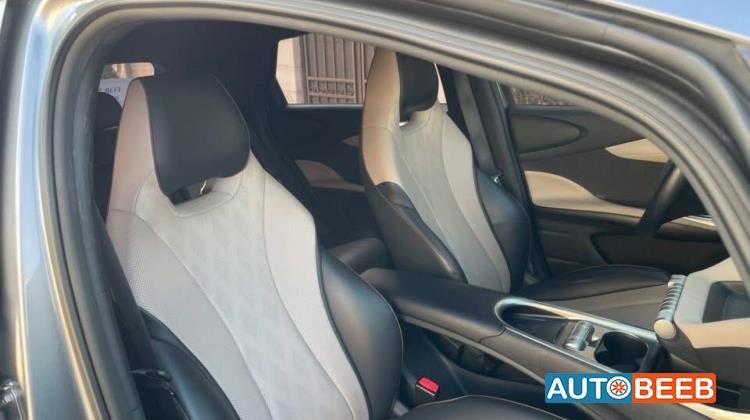 بي واي دي دولفين 2023