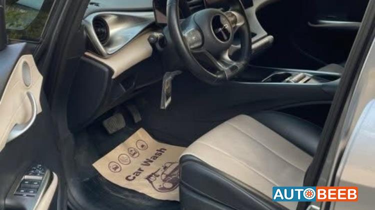 بي واي دي دولفين 2023