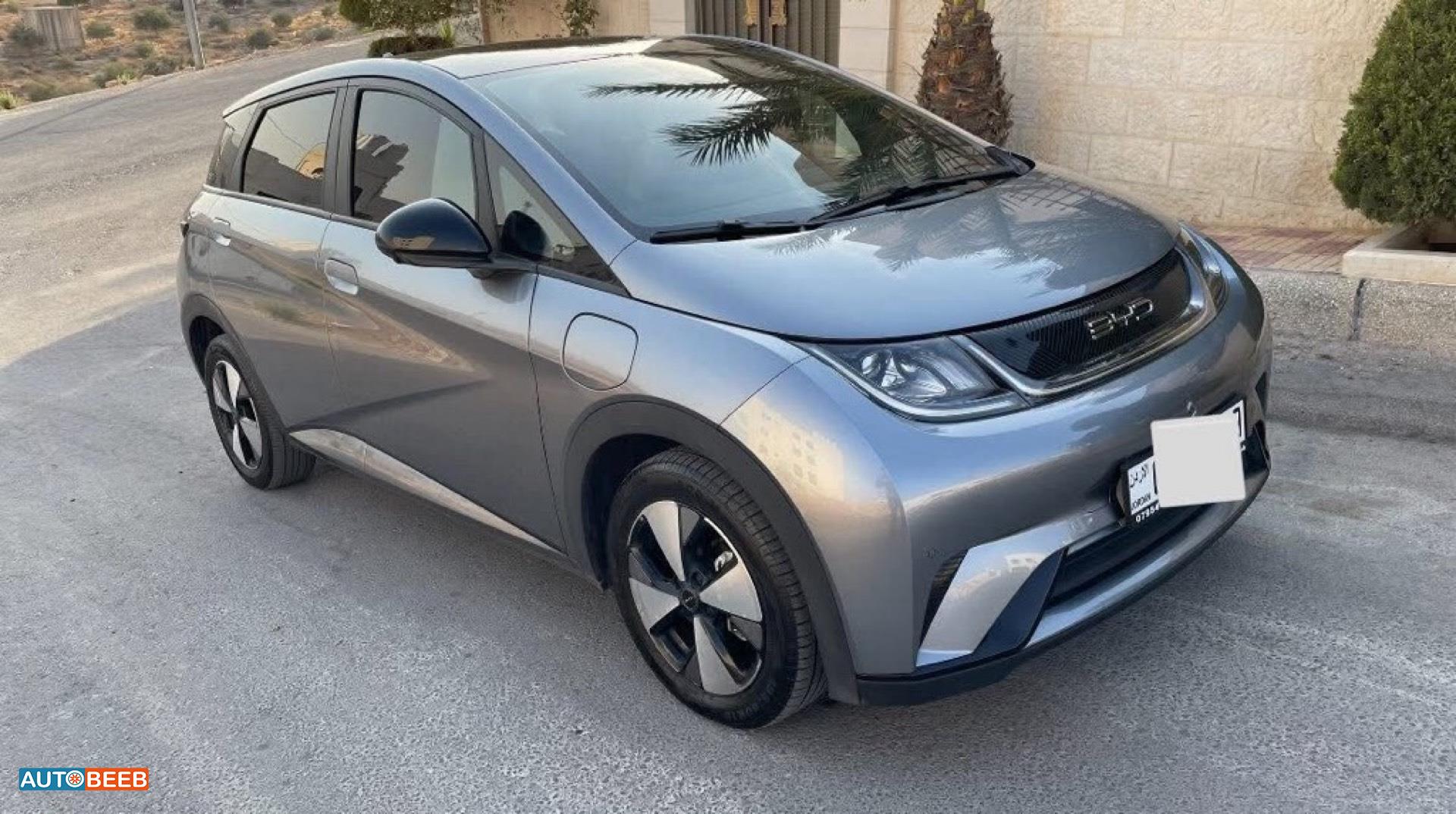 بي واي دي دولفين 2023