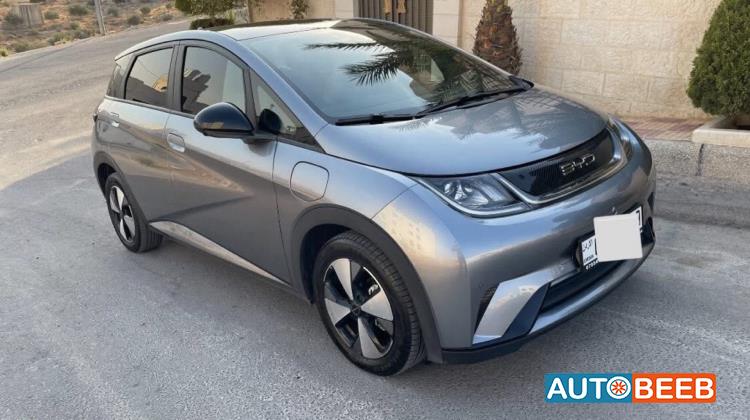 بي واي دي دولفين 2023