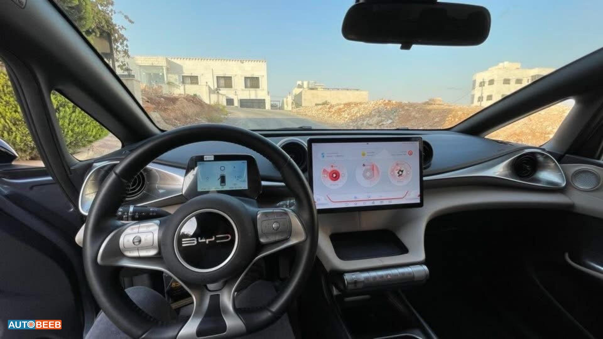 بي واي دي دولفين 2023