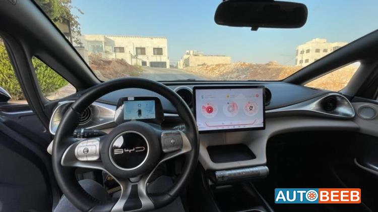 بي واي دي دولفين 2023