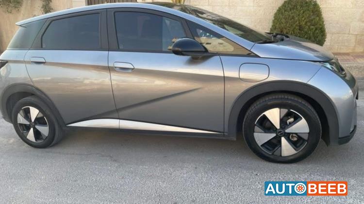 بي واي دي دولفين 2023