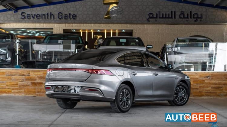 بي واي دي كين 2023