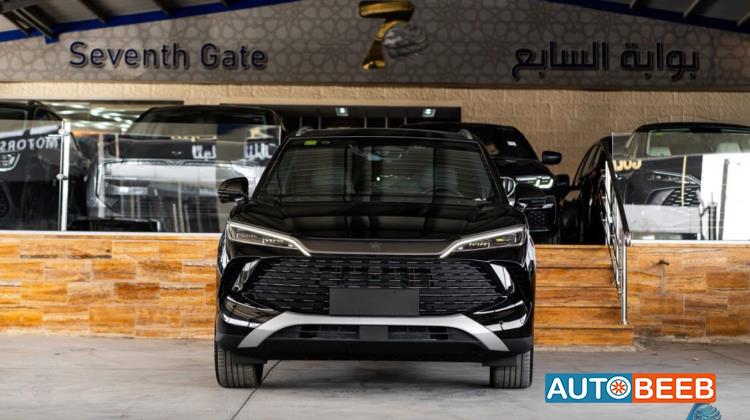 بي واي دي سونج ل 2025