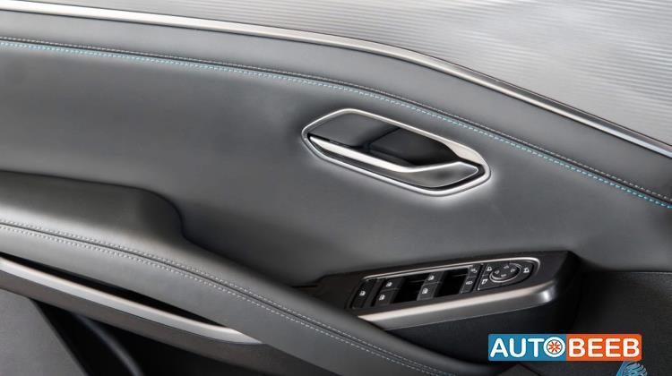 بي واي دي سونج ل 2025