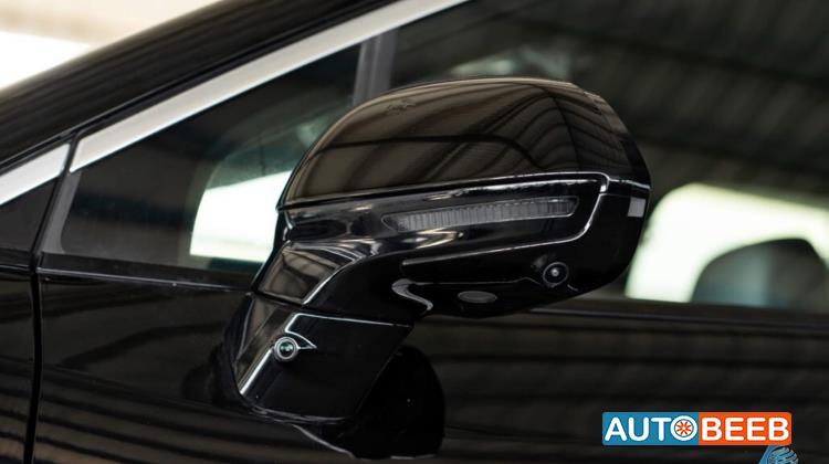 بي واي دي سونج ل 2025