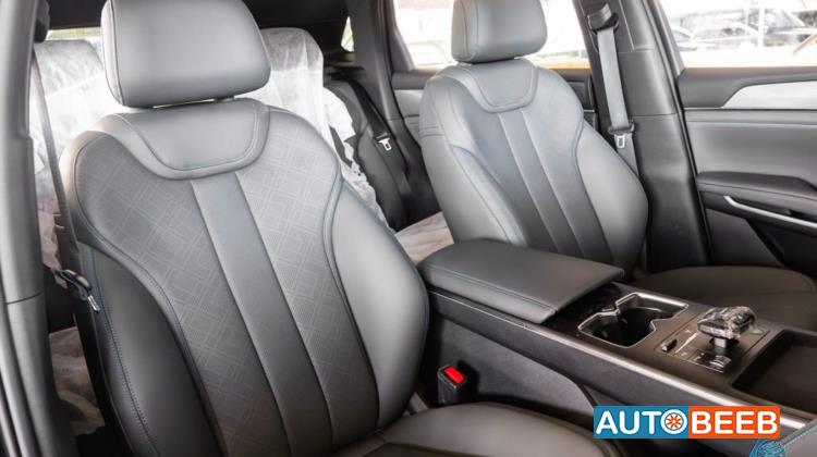 بي واي دي سونج ل 2025