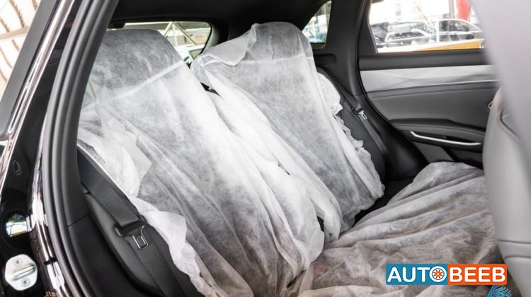 بي واي دي سونج ل 2025