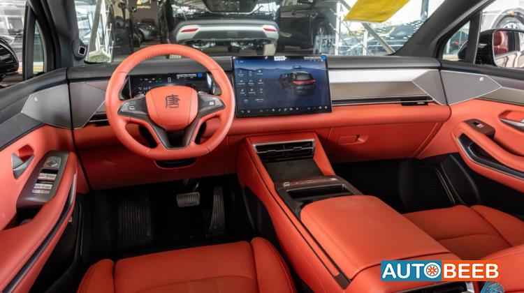 بي واي دي تانج 2025