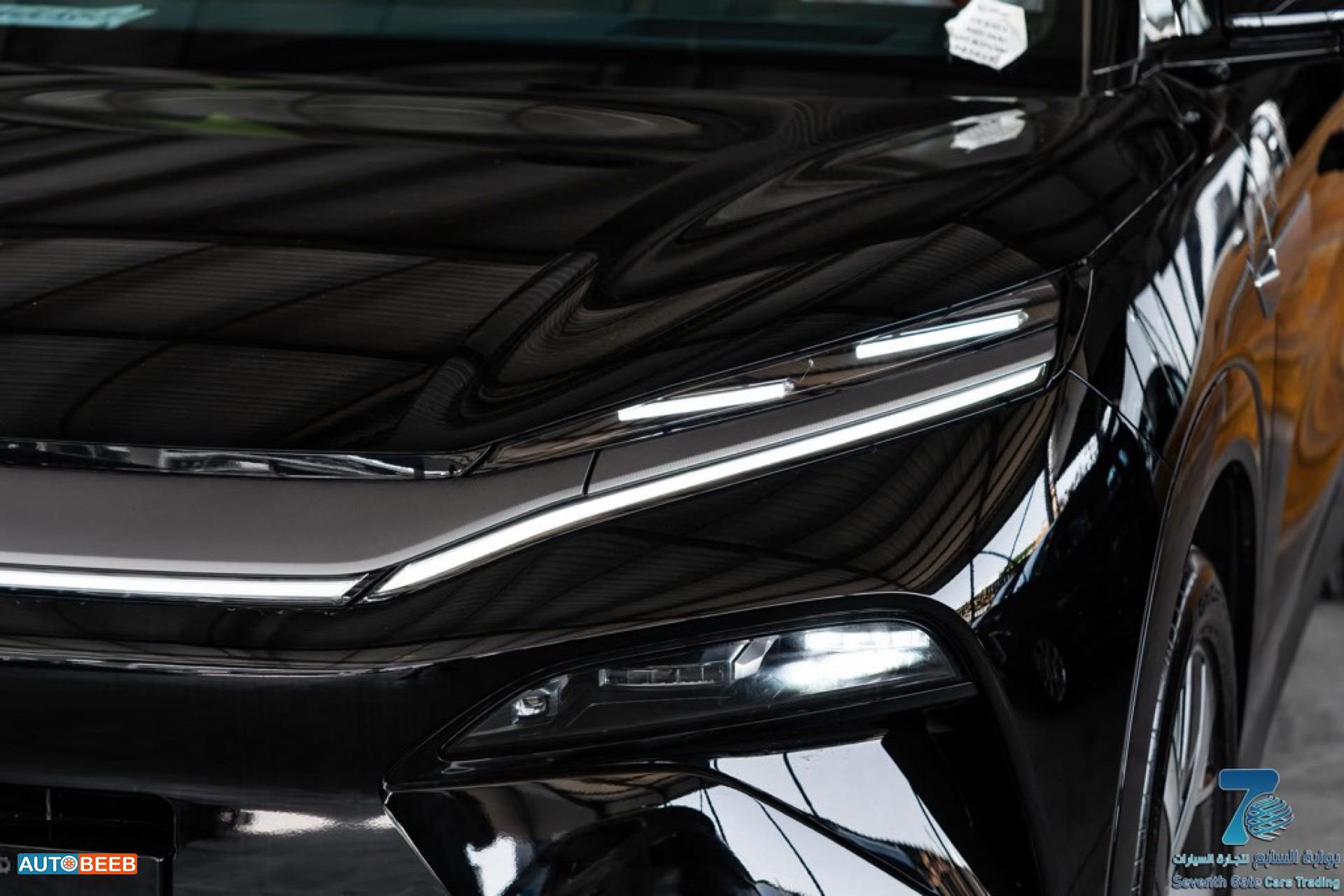 بي واي دي تانج 2025