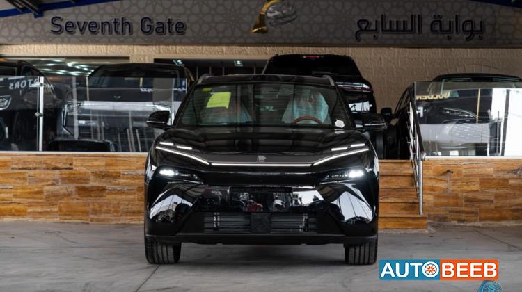 بي واي دي تانج 2025