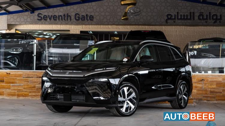 بي واي دي تانج 2025