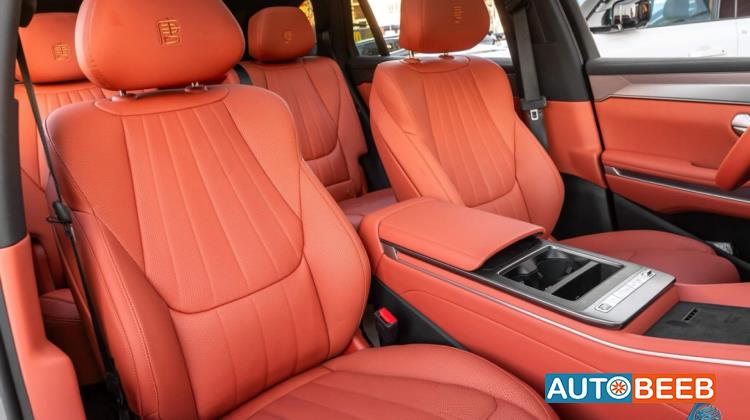 بي واي دي تانج 2025