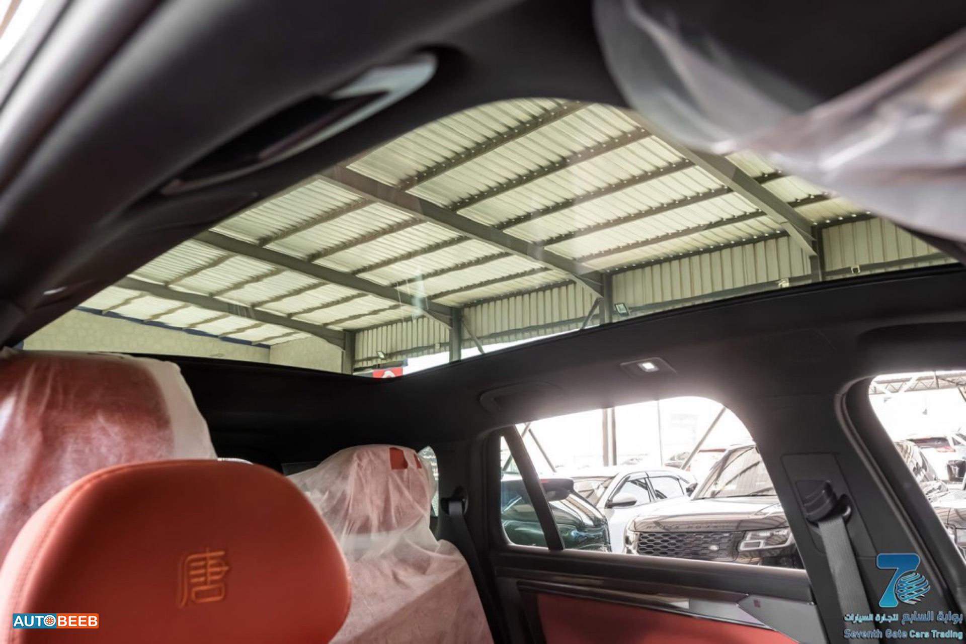 بي واي دي تانج 2025