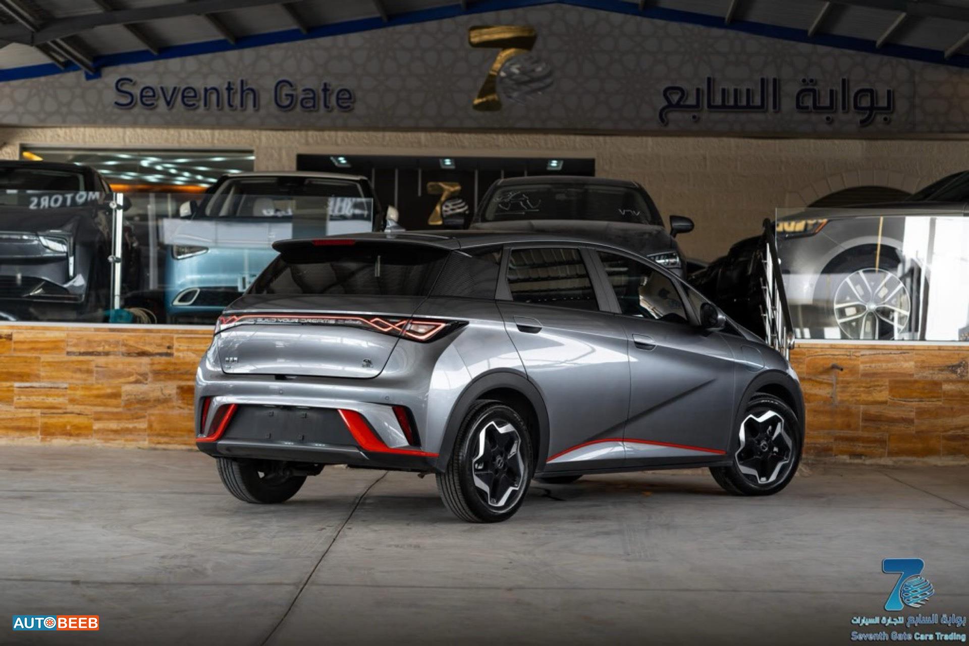 بي واي دي دولفين 2022