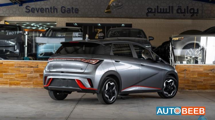 بي واي دي دولفين 2022