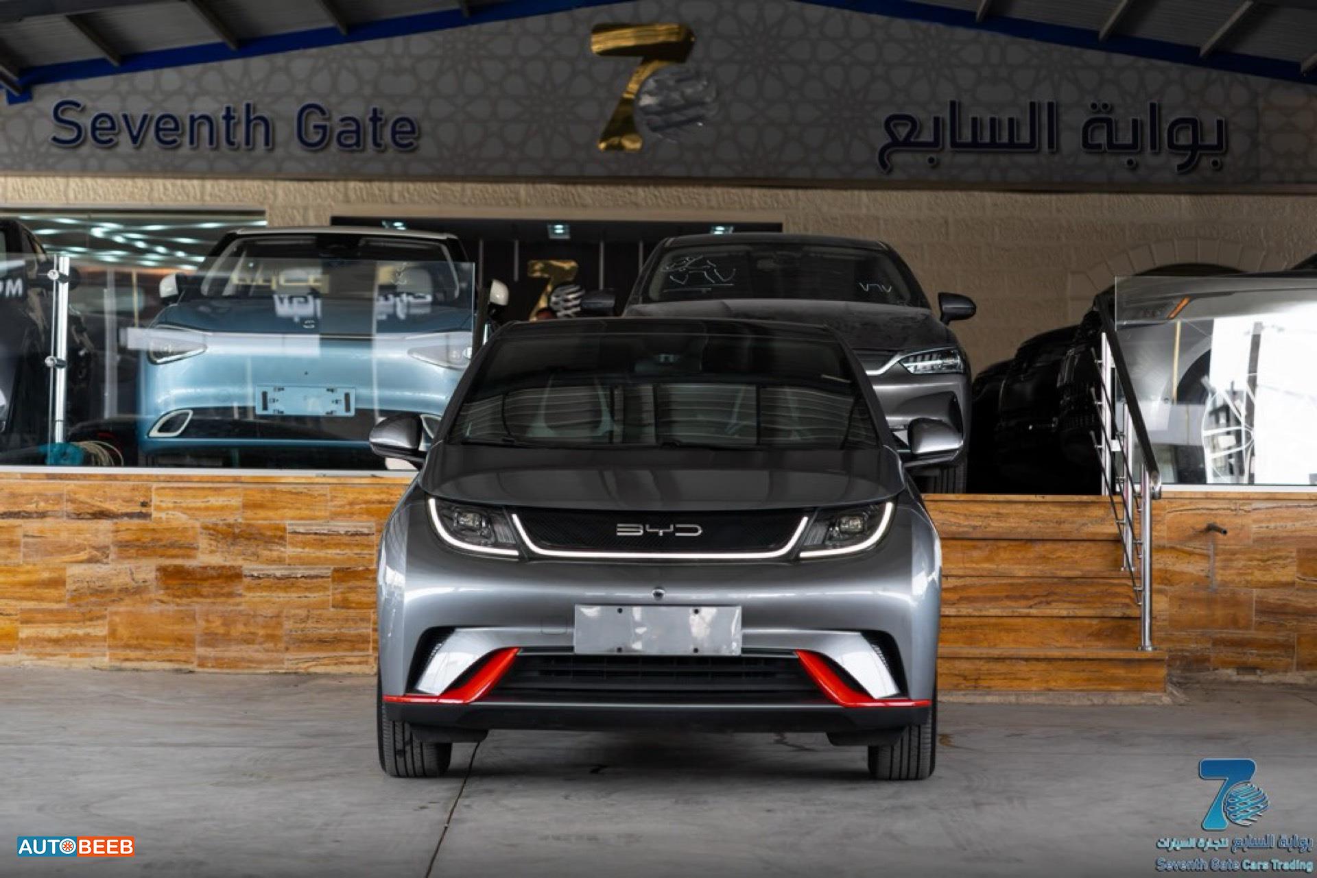 بي واي دي دولفين 2022