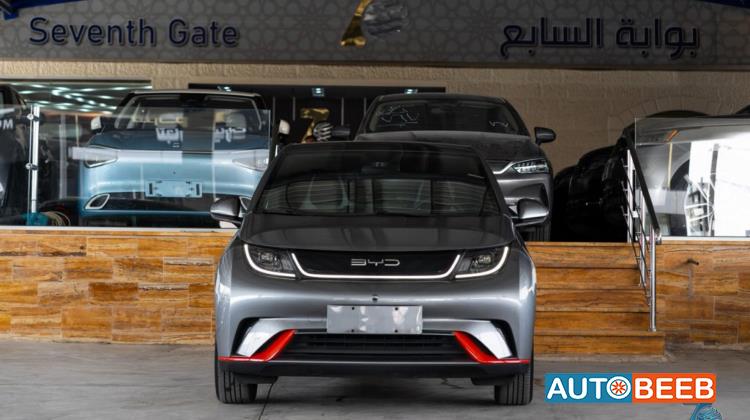 بي واي دي دولفين 2022