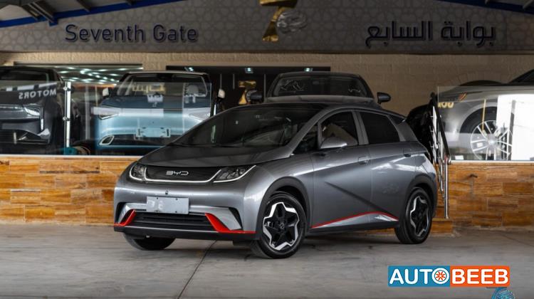 بي واي دي دولفين 2022