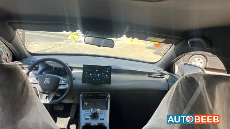 بي واي دي كين 2025