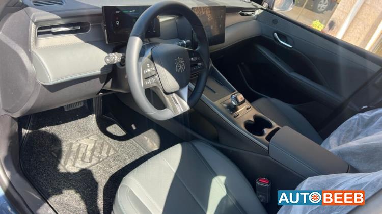 بي واي دي كين 2025