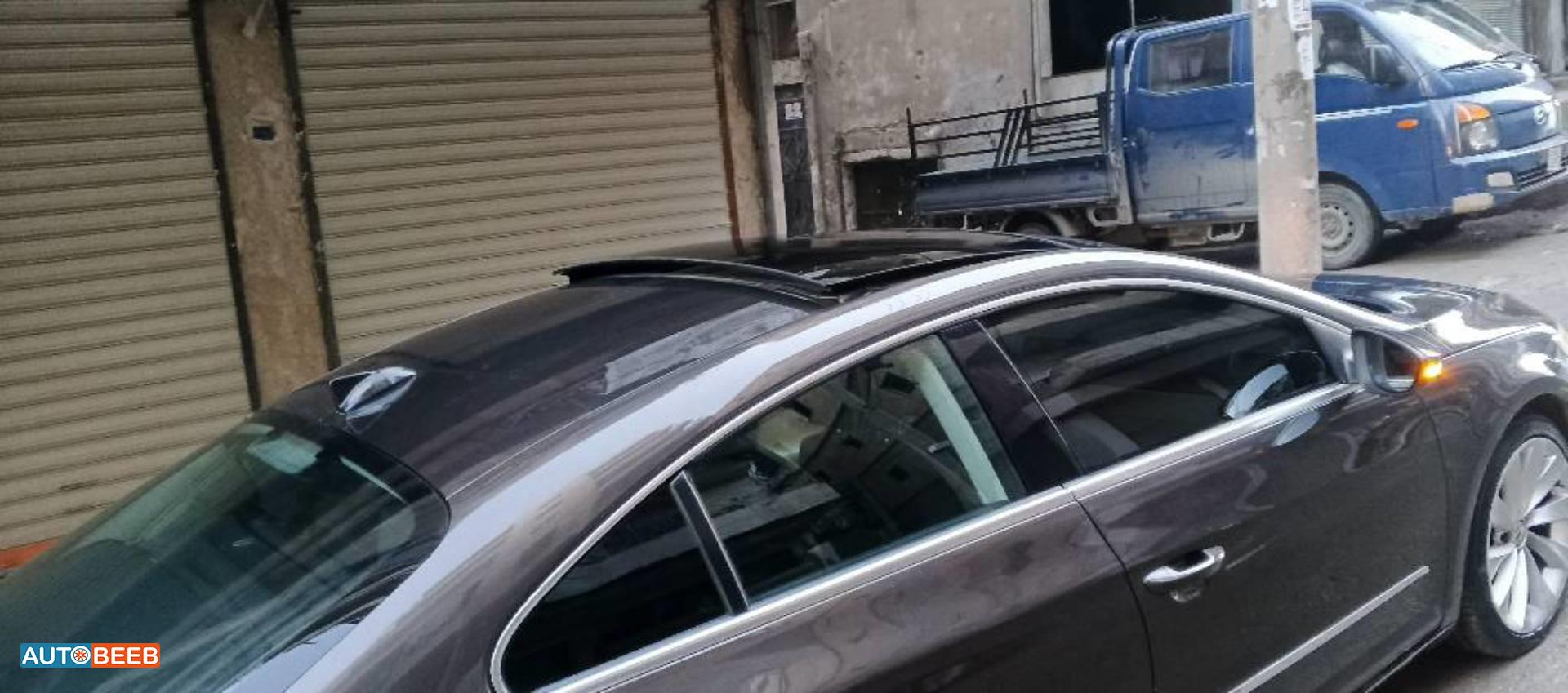 فولكس فاجن باسات 2012