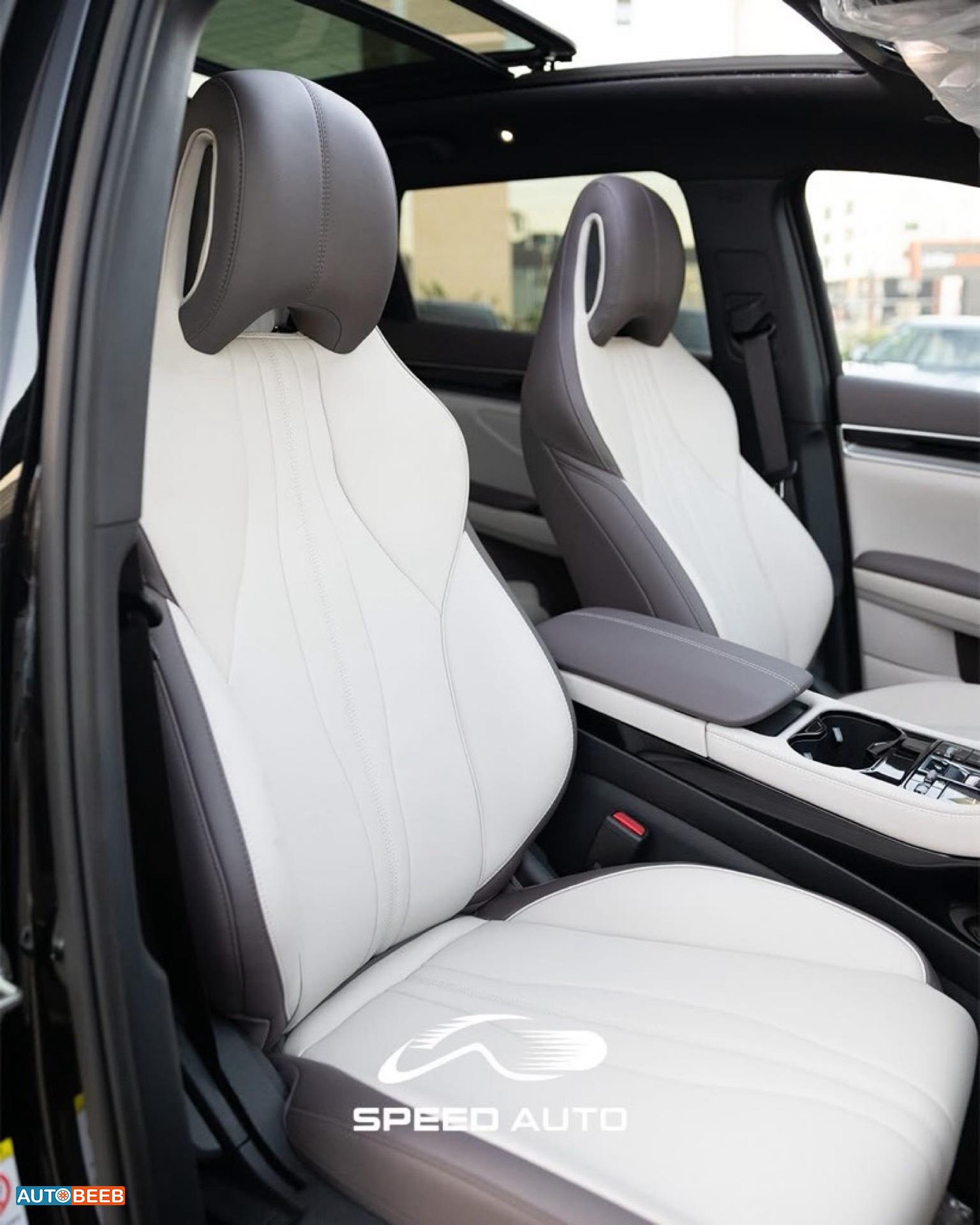 بي واي دي سونج بلس 2025