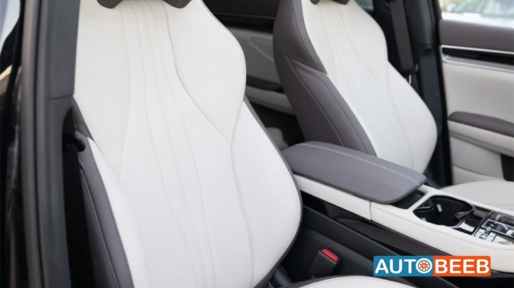 بي واي دي سونج بلس 2025