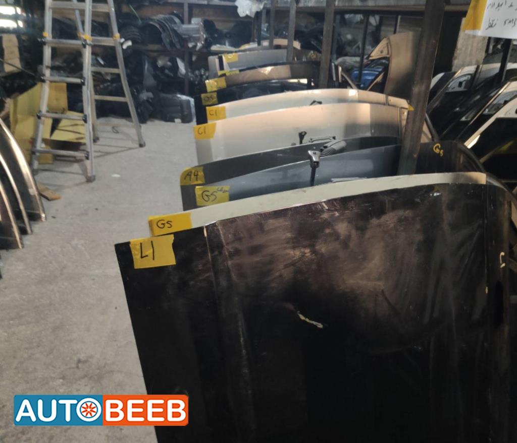 Body  Doors Hyundai Avante