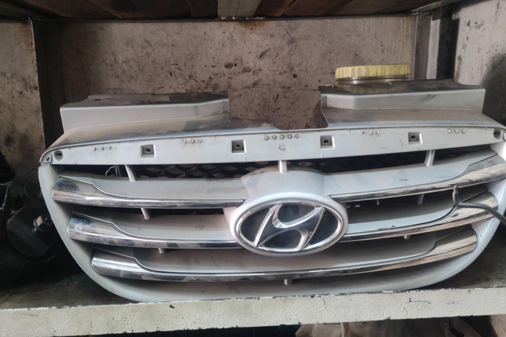 Body  Grilles Hyundai Avante