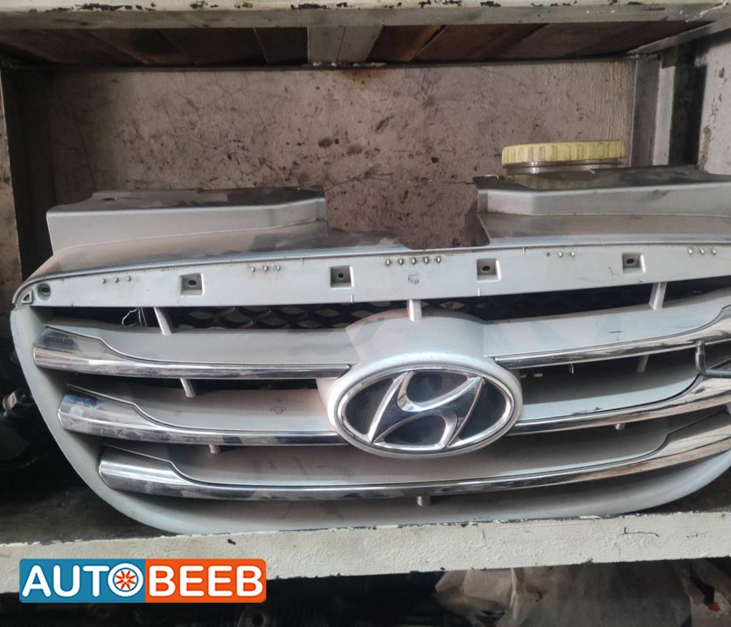 Body  Grilles Hyundai Avante