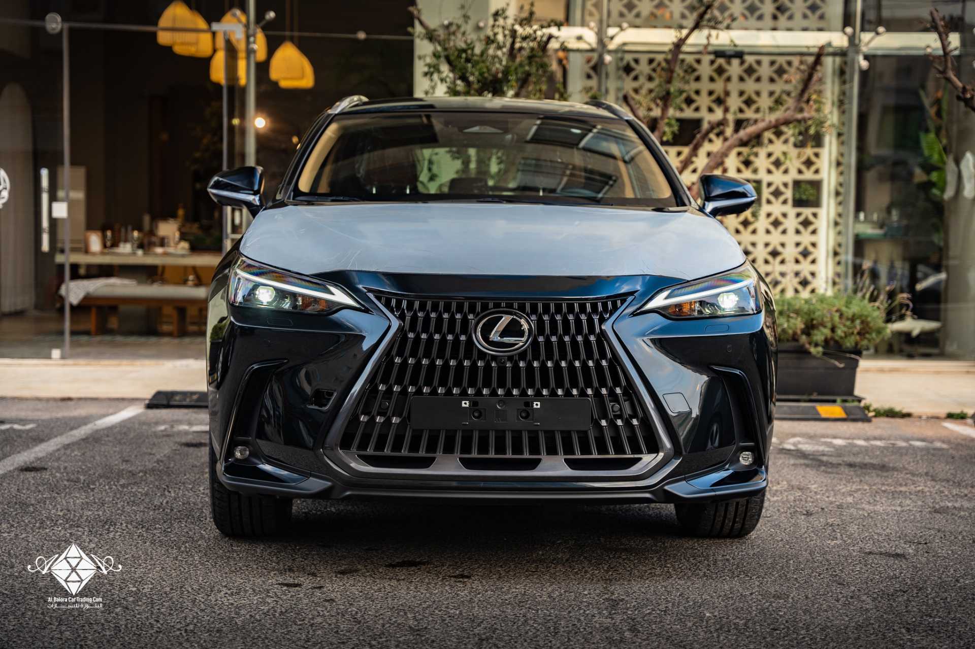 Lexus NX350 2023