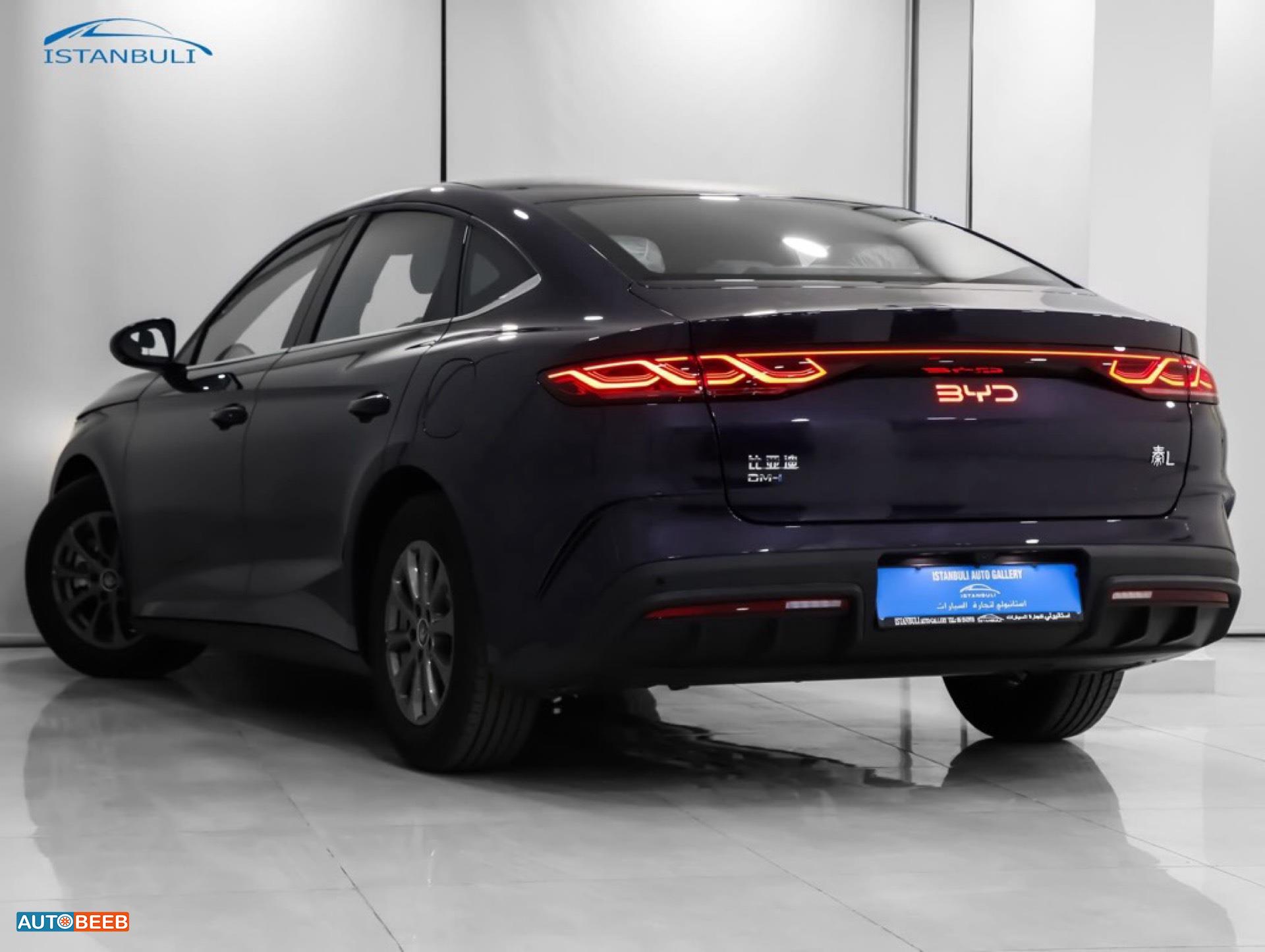 BYD Qin 2024