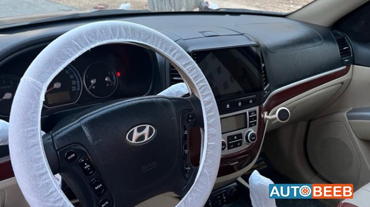 Hyundai Santa Fe 2009
