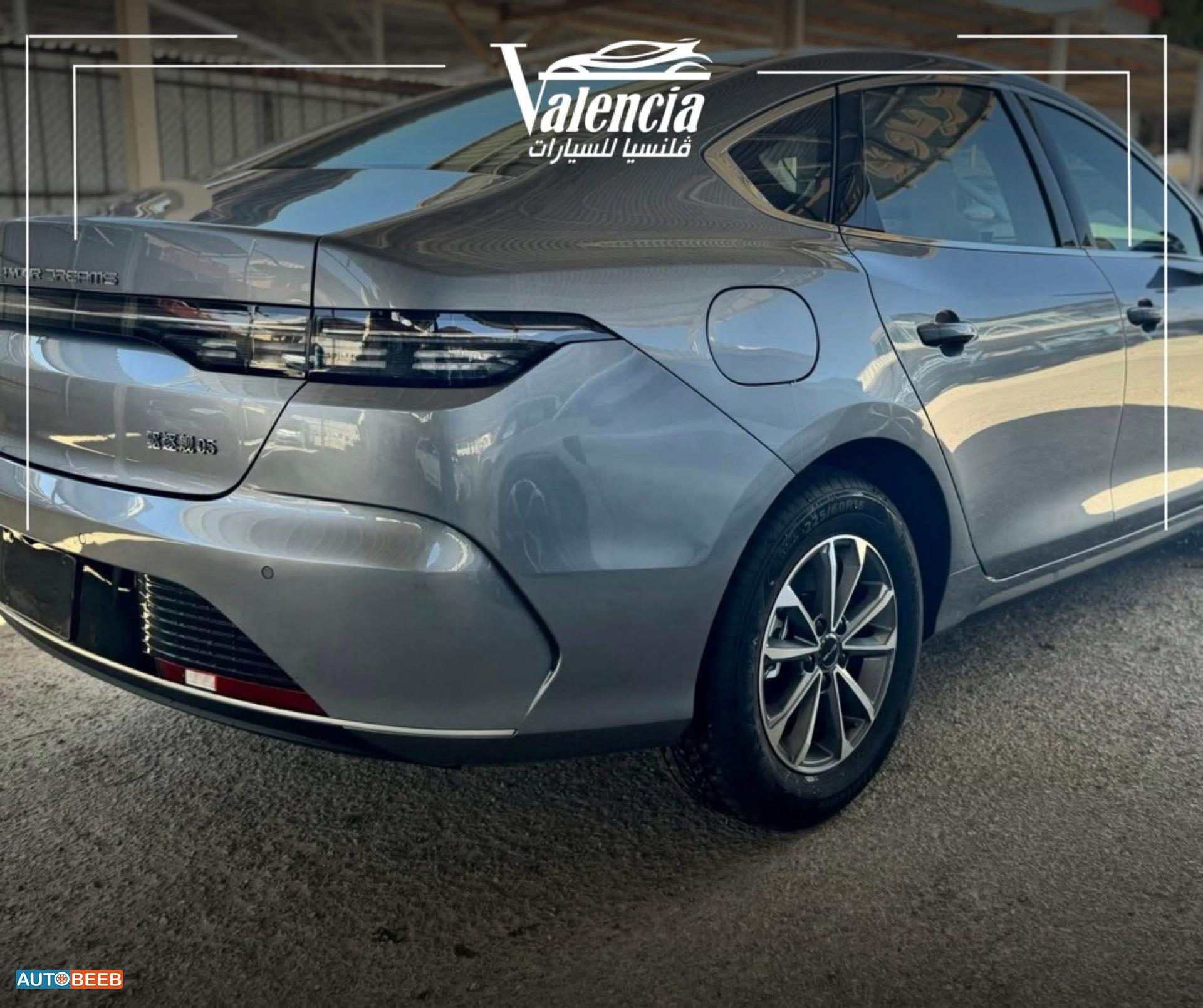 BYD Destroyer 05 2025